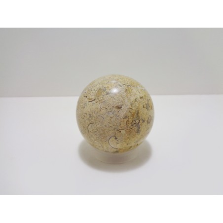 SFERA IN PIETRA FOSSILE