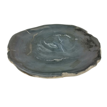 CENTROTAVOLA IN LEGNO FOSSILE