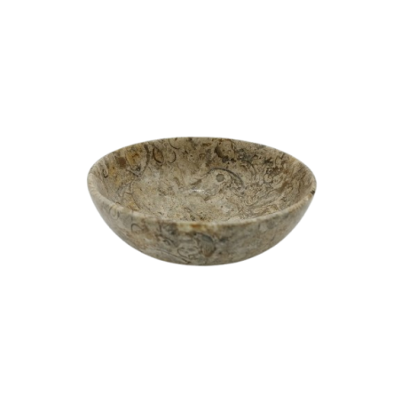 CIOTOLA IN PIETRA FOSSILE