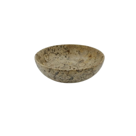CIOTOLA IN PIETRA FOSSILE