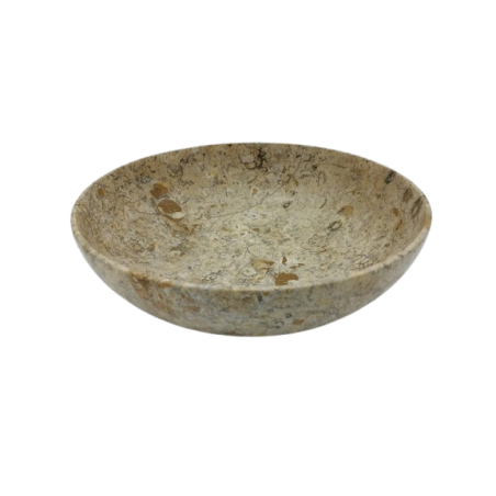 CIOTOLA IN PIETRA FOSSILE