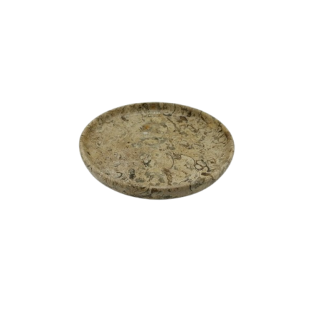 PIATTO IN PIETRA FOSSILE