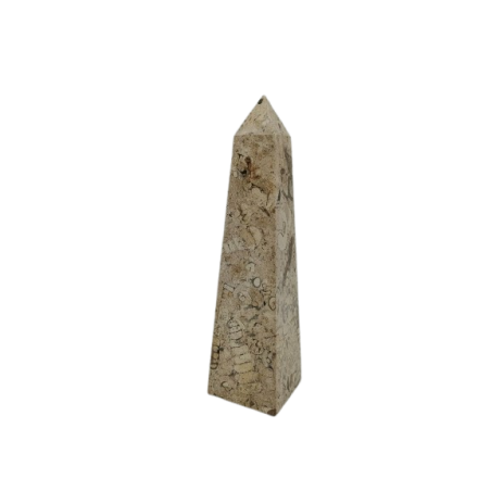 OBELISCO IN PIETRA FOSSILE