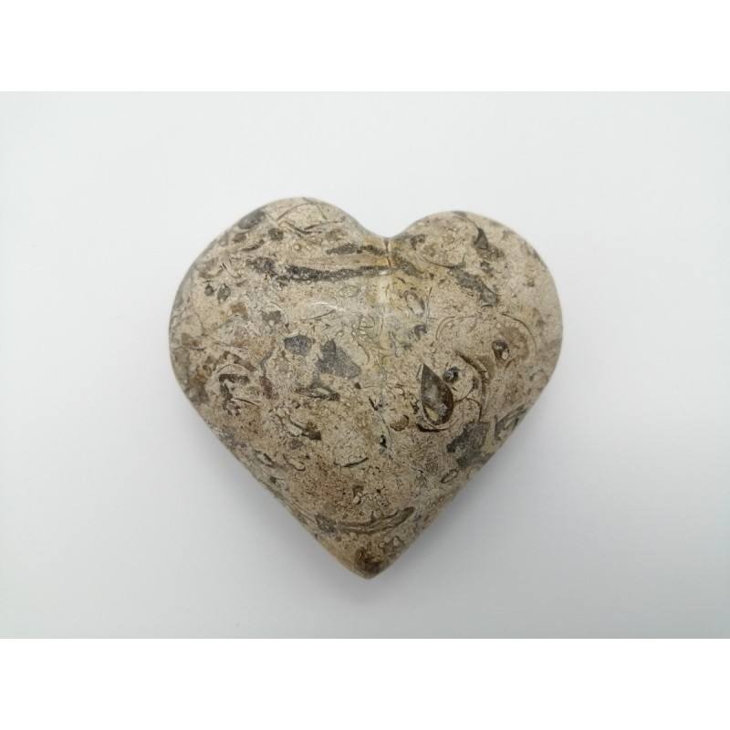 0105M 242  CUORE IN PIETRA FOSSILE