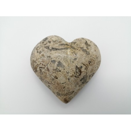 0105M 242  CUORE IN PIETRA FOSSILE