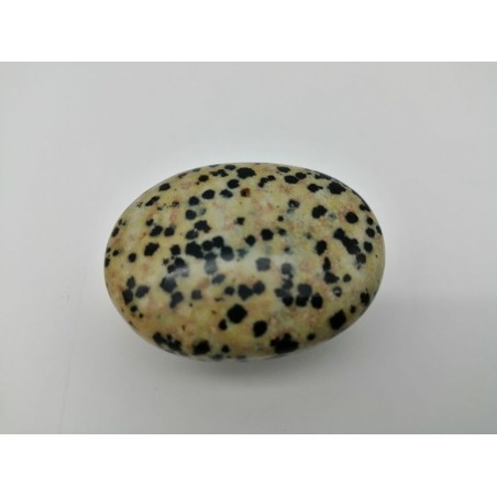 0497CK084 9  PALM STONE DIASPRO DALMATA