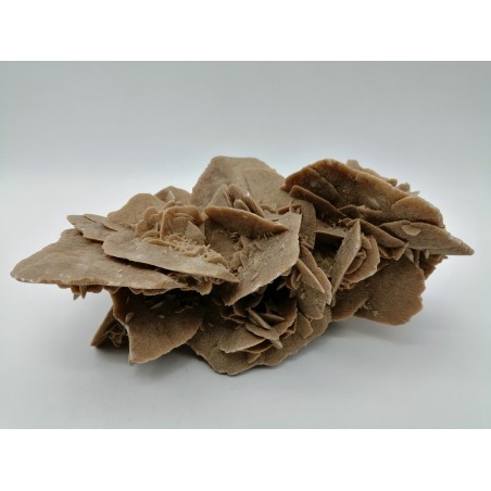 0556RD016 1  ROSA DEL DESERTO CON BASE DI LEGNO